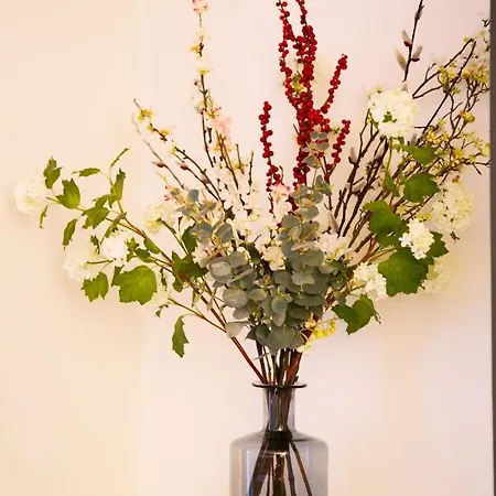 2 Pieces Avec Patio Dans Le Centre De